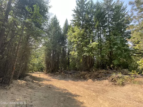 Careywood, ID 83809,NNA Homestead Hollow Rd