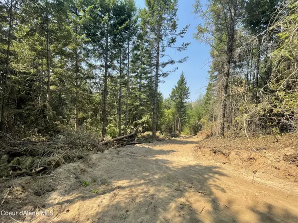 Careywood, ID 83809,NNA Homestead Hollow Rd