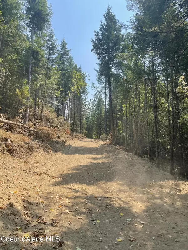 Careywood, ID 83809,NNA Homestead Hollow Rd