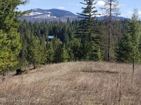 Pleasant Valley Loop Rd Tract 1, Naples, ID 83847