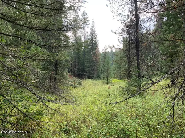 NKA Flat Creek Parcel 1 Rd, St. Maries, ID 83861