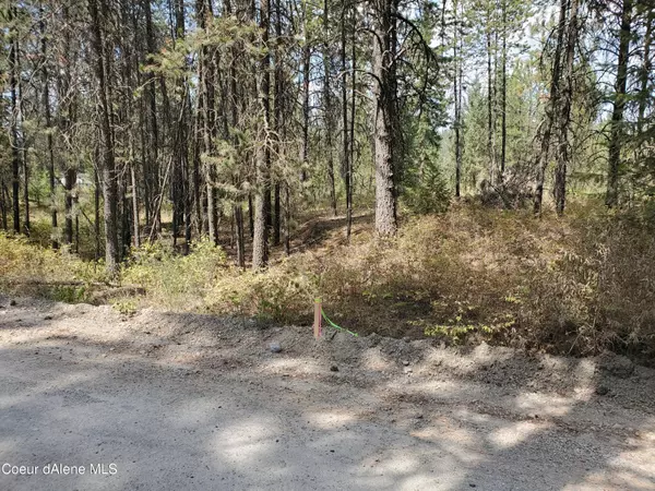 Athol, ID 83801,NNA Booker Rd