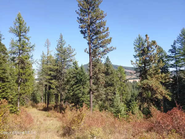 NKA Old Railroad Grade, Plummer, ID 83851