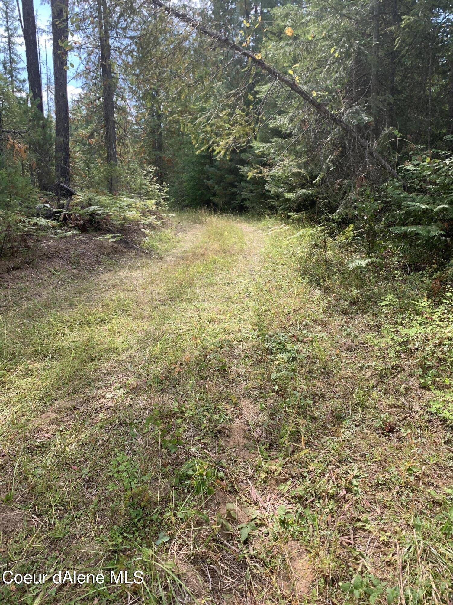 Clark Fork, ID 83811,NKA Knapweek Lane