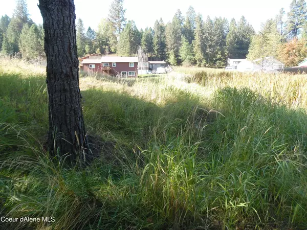 2009 Elm Dr,  St. Maries,  ID 83861