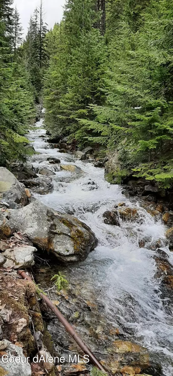 Wallace, ID 83873,NKA Gorge Gulch, Burke