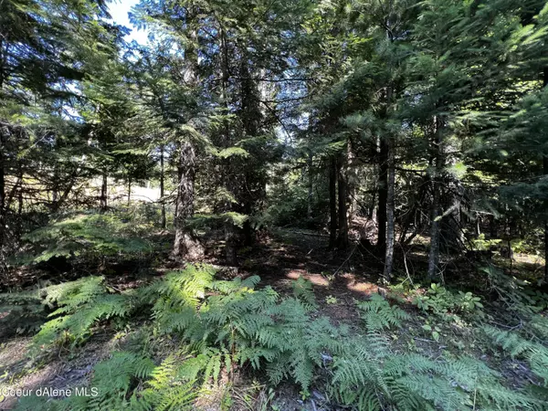 Dover, ID 83825,13151 W W Pine Street