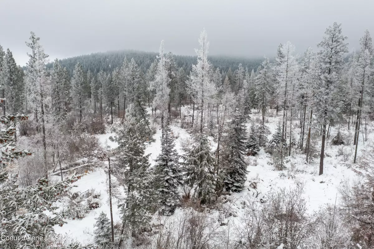 Plummer, ID 83851,NNA Sinkler Road Lot 2