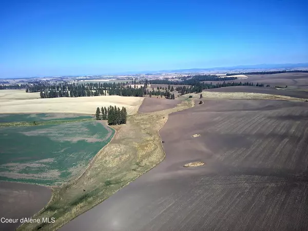 Craigmont, ID 83543,NNA Laufers Rd