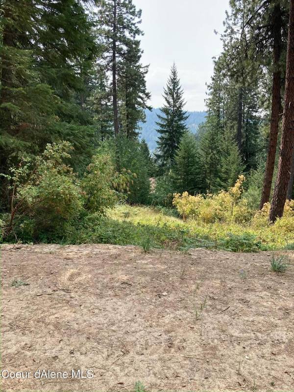 13675 S EDGEWATER DR, Harrison, ID 83833