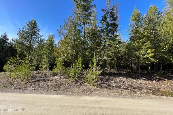 Cocolalla, ID 83813,Lot 5 Berry Hill Rd