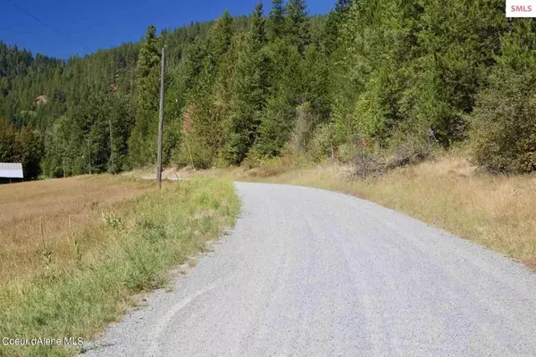 Priest River, ID 83856,NNA Bodie Canyon RD