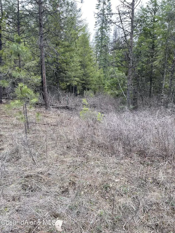 Oldtown, ID 83822,NNA Everett Huff Road Lot 2