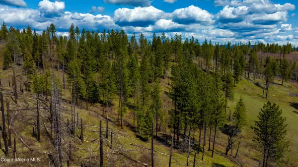 Weippe, ID 83553,NKA 20acs Hidden Valley Ln, Lot 3