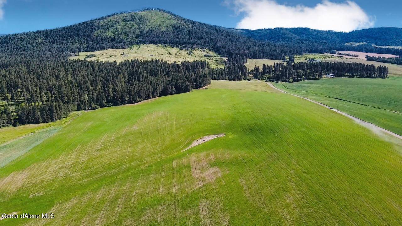 NKA Lot C Old Mills RD, Desmet, ID 83824