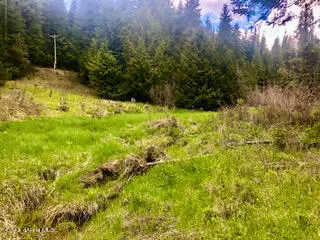 St. Maries, ID 83861,NKA Sanders Westerly Parcel Rd