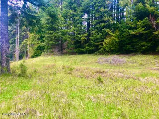 St. Maries, ID 83861,NKA Sanders Road Easterly Parcel