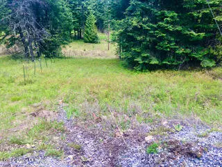 St. Maries, ID 83861,NKA Sanders Road Easterly Parcel