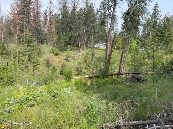 Coeur d'Alene, ID 83814,NKA Indian Meadows 1+/- acre