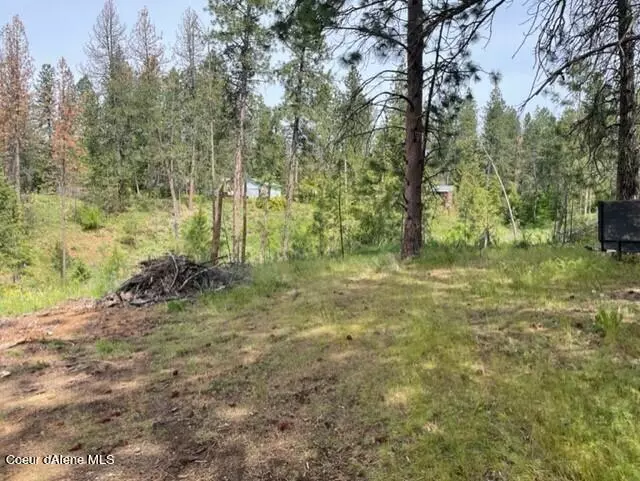 Coeur d'Alene, ID 83814,NKA Indian Meadows 1+/- acre