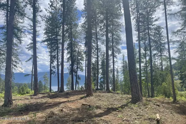 Sagle, ID 83860,NNA Red Hawk Landing Lot 3