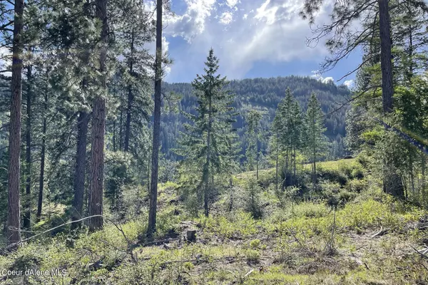 Sagle, ID 83860,NNA Red Hawk Landing Lot 3