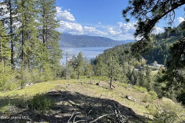 Sagle, ID 83860,NNA Red Hawk Landing Lot 3