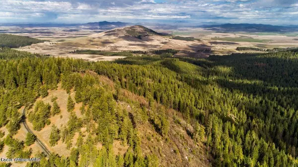 Tensed, ID 83870,NNA Skyline Dr