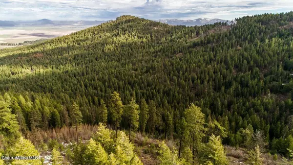 Tensed, ID 83870,NNA Skyline Dr