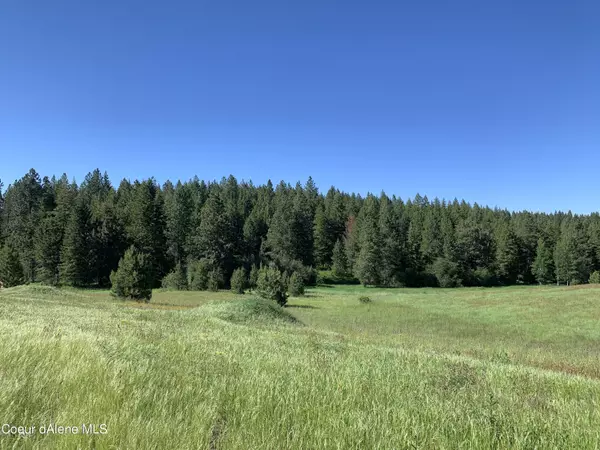 Worley, ID 83876,NNA W Larkin Way Lot 6