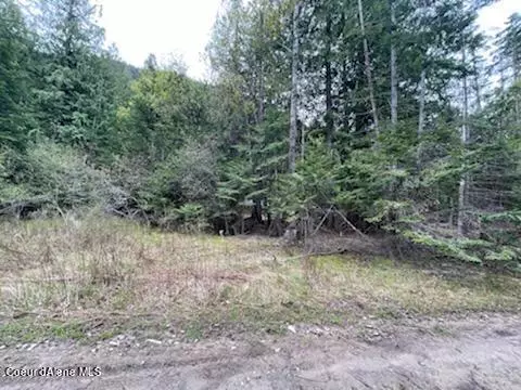 Bayview, ID 83803,Kamloop Ave