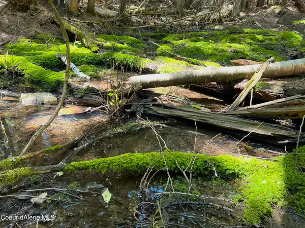 Sandpoint, ID 83864,NNA Spirit Wolf Trail