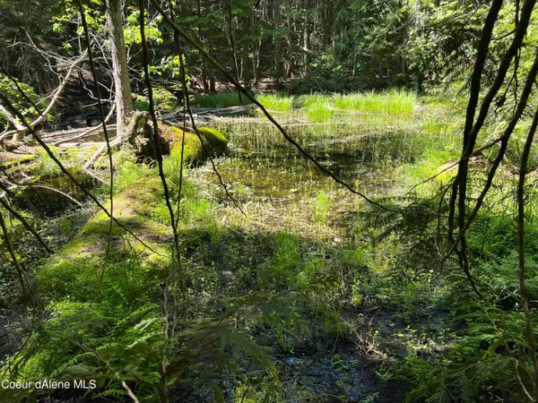 Sandpoint, ID 83864,NNA Spirit Wolf Trail