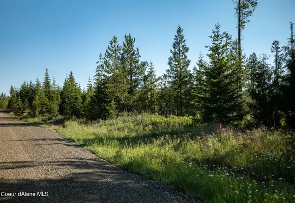 Lot 16 Block 2 Sportsman Rd, St. Maries, ID 83861