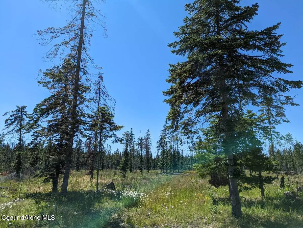 Athol, ID 83801,11680 E Sedgwick LN