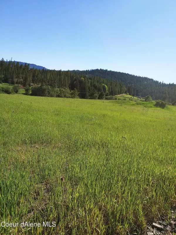 Tensed, ID 83870,NKA South Fork Hangman Creek Road