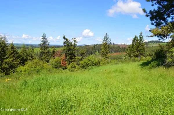 Kamiah, ID 83536,TBD Simler Rd Parcel 1