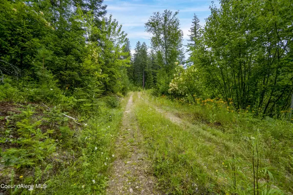 Sandpoint, ID 83864,44 Mariposa