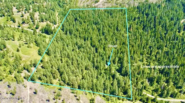 Tensed, ID 83870,20 Acres Moses Mountian Lane