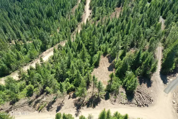 320 Upriver View Dr, Fernwood, ID 83830