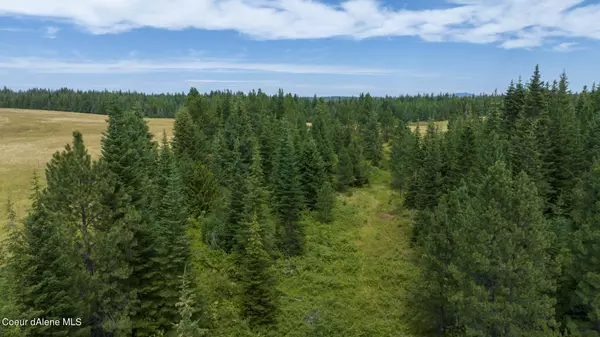 Weippe, ID 83553,1605 Jasmine Ln, Parcel 4