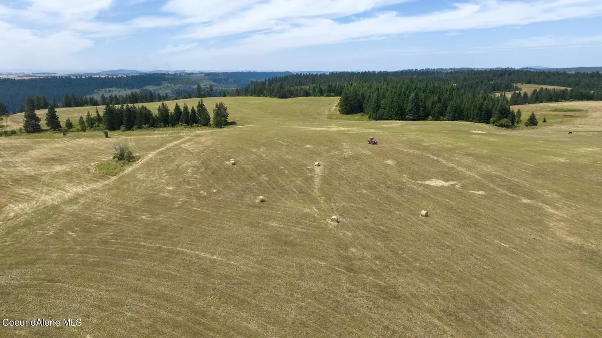 Weippe, ID 83553,1605 Jasmine Ln, Parcel 11