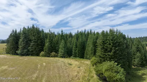 Weippe, ID 83553,1605 Jasmine Ln, Parcel 12