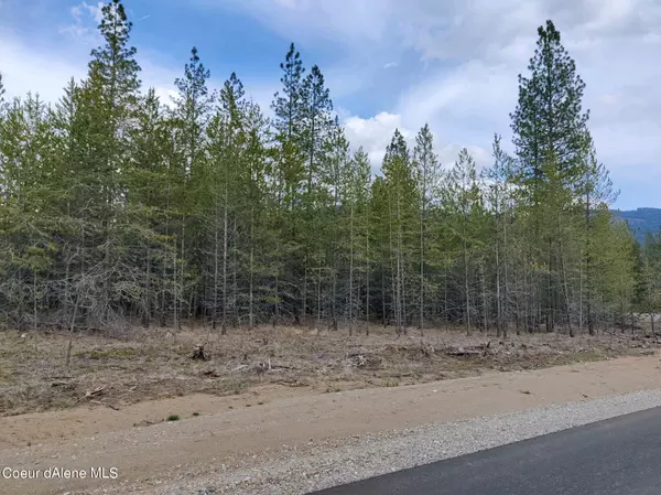 Oldtown, ID 83822,NKA Cricket Loop Lot 4 Blk 1