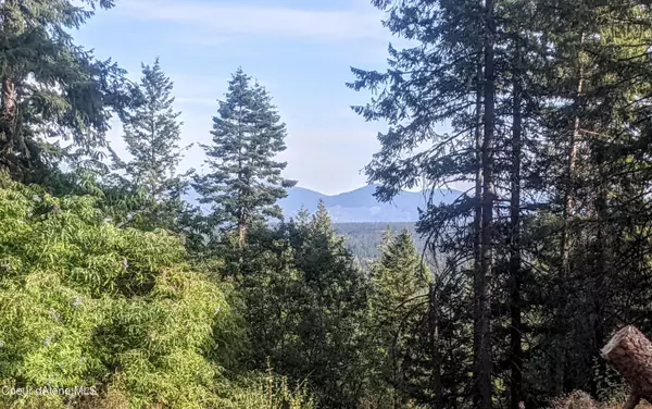 Spirit Lake, ID 83869,NNA Bear Ridge Trail Tiny House