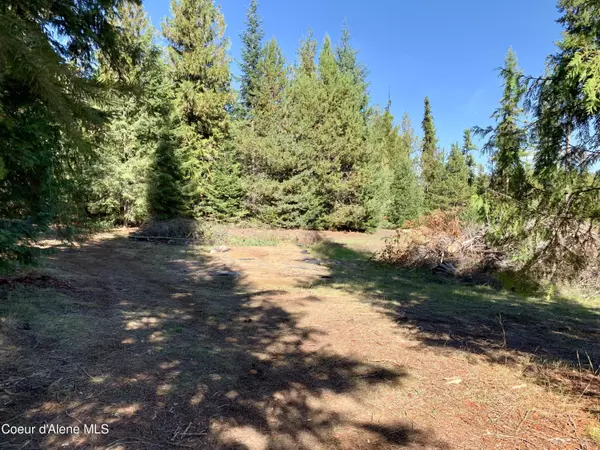 Priest Lake, ID 83856,207 Lark Lane