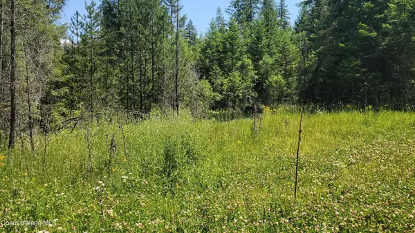 Athol, ID 83801,Lot 1 Trails End Rd