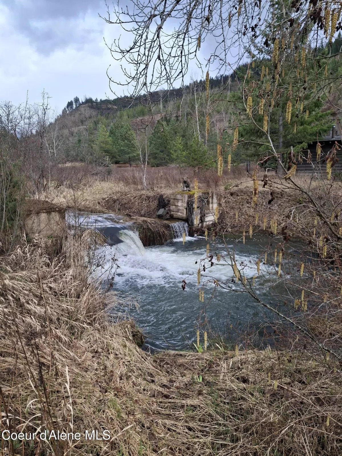 Kingston, ID 83839,1010 Bear Creek Road