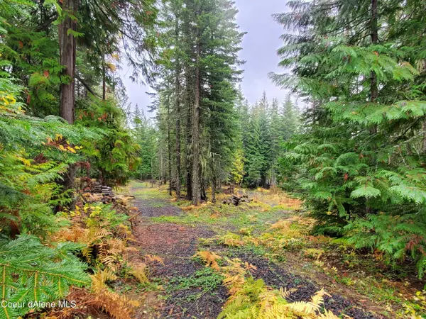 NKA NW Fork Santa Creek Rd, St. Maries, ID 83861