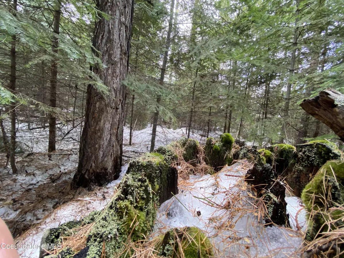 Priest Lake, ID 83856,NNA Toad Rd